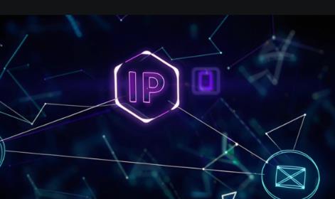 站长必读：从“流量思维”到“IP思维”的品牌升级之路-欢迎各位,本站专注于收集分享各种最新资源、技术教程、绿色软件、还有来自全网的网站模板、网站源码分享以及各种去广告软件下载小哥互联