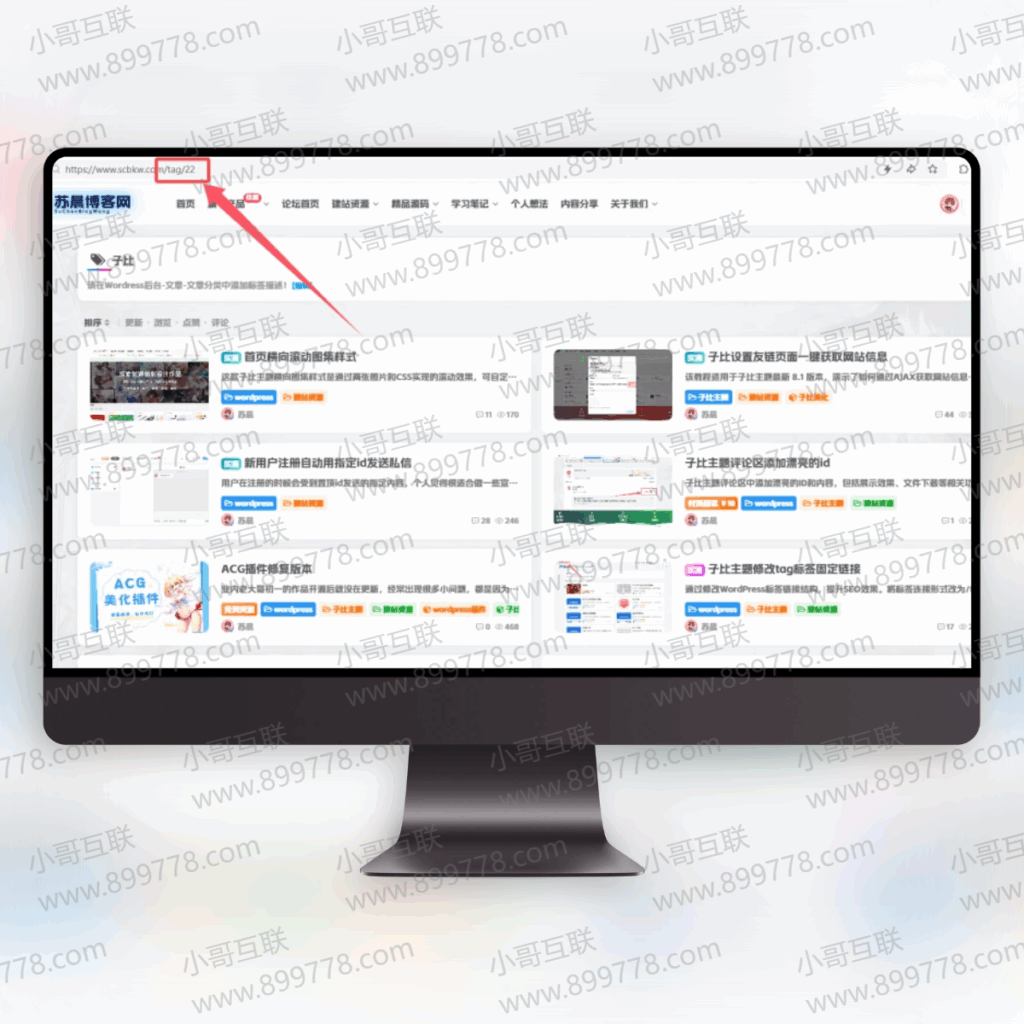 图片[1]-欢迎各位,本站专注于收集分享各种最新资源、技术教程、绿色软件、还有来自全网的网站模板、网站源码分享以及各种去广告软件下载子比主题修改tag标签固定链接