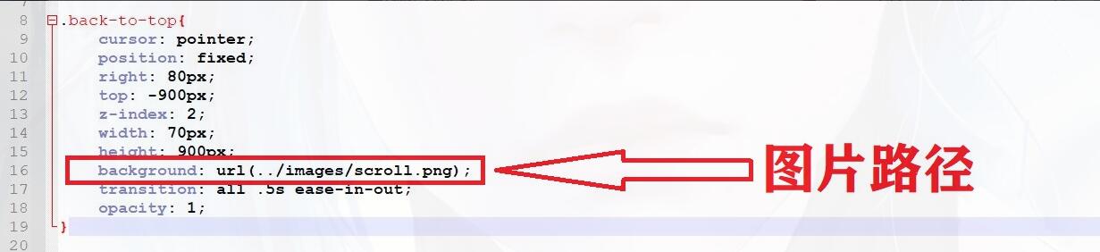 图片[27]-子比美化教程合集 美化只看这一篇文章就够了！！！-zibll美化交流分享社区-zibll子比主题-WordPress主题模板-zibll子比主题