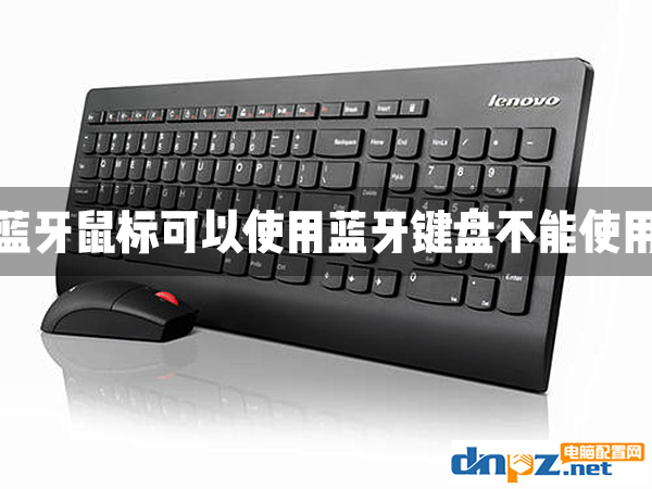 电脑可以用无线鼠标不能用无线键盘是怎么回事?-欢迎各位,本站专注于收集分享各种最新资源、技术教程、绿色软件、还有来自全网的网站模板、网站源码分享以及各种去广告软件下载小哥互联