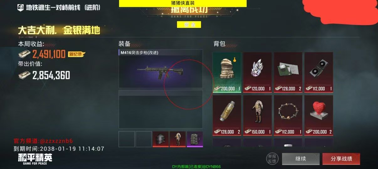 和平精英猪猪侠容器直装-1